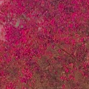 Meet your Posher, Natalia